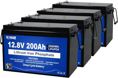 Batería LiFePO4 para carrito de golf LiFePO4 de 48 V, 200 Ah, 48 V, 200 Ah (4 unidades, 10240 Wh, BMS integrado, batería de litio con celdas de clase A, perfecta para caravanas, motores de trolling y