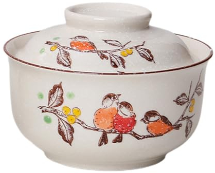 Tazón de ramen, juego de tazón de cerámica con tapa, 800 ml, cuencos de sopa de cerámica japonesa, para cereales, sopa, vajilla asiática, microondas y lavavajillas