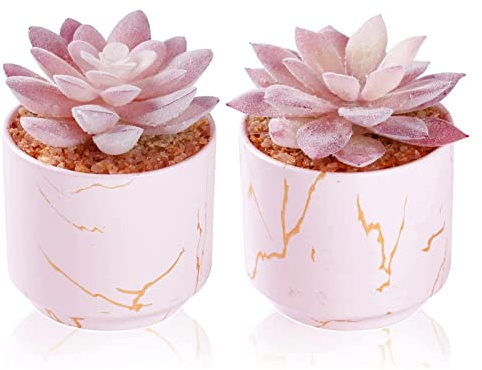 ZENIDA Succulent Artificial Plants,Cute Fake Succulents in 2 Pink Ceramic Pots,Small Fake Plants for Office,Table,Desk,Bathroom, Bedroom,Aesthetic Room Shelves Decor,Desk Decorations for Women