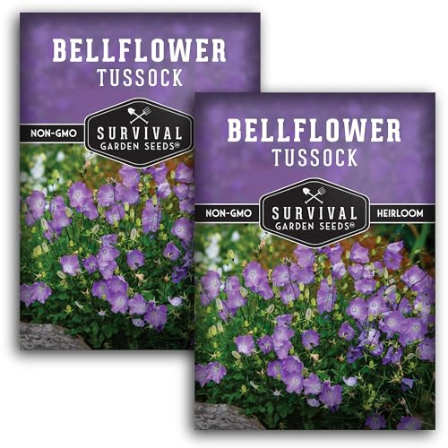 Survival Garden Seeds Tussock Bellflower Seed for Planting - 2 Packets with Instructions to Plant and Grow Campanula carpatica in Your Home Flower Garden - Non-GMO Heirloom
