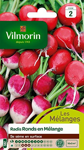 Vilmorin 3884342 Pack de Graines Radis Rond en Mélange Gaudry 2/Jolly