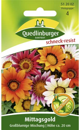 Quedlinburger Saatgut Mittagsgold, Großblumige Spielarten Samen