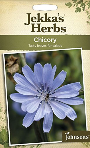Johnsons - Jekka's Herbs - Pictorial Pack - Chicory - 140 Seeds