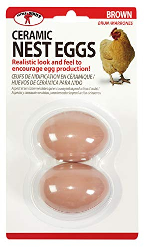 Little Giant® Keramik Nest Eier | Künstliche Eier zur Förderung der Eierproduktion | Braun