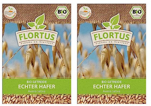 FLORTUS – BIO Echter Hafer Getreide Samen 150g – Samenfestes Saatgut zur Herstellung von Haferflocken, Hafergrütze, Müsli, Keimsprossen & Microgreens – höchste Bioqualität & ohne Gentechnik