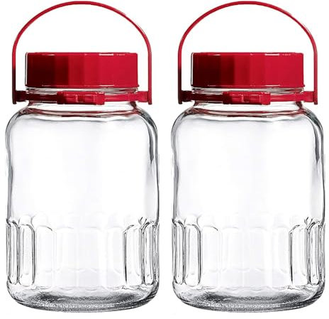 NCPSAKD 3l/0.75gal,Braugläser aus Glas, 2er-Set, Weithalsgläser aus Glas mit Deckel und Griff