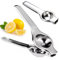 PARENCE.- Presse-Agrumes Manuel en Métal – Presse-Citron Solide Argenté pour Citrons et Agrumes – Facile à Utiliser & Nettoyer – Cuisine Pratique – Jus Frais Maison)