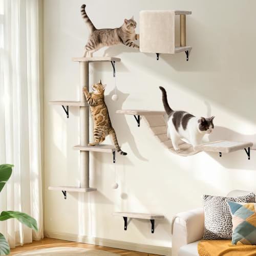 Eukue Kletterwand Katzen Set,Katzen Wandelemente für Kleine bis Mittelgroße Katze,10-teilig Katzenbaum Wand mit Kratzbaum, Katzenhaus, Katzenbrücke, Sisal Kratzsäulen für den Innenbereich Wandmontage