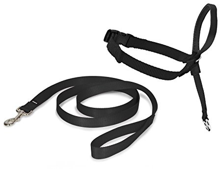 PetSafe Easy Walk Kopfhalfter, Aus widerstandsfähigem und weichem Nylon, Leichtes An- und Ausziehen, Größe S, Schwarz