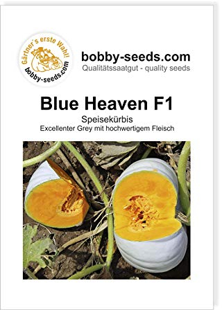 Blue Heaven F1 Kürbissamen von Bobby-Seeds, Portion