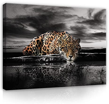 WallArena Leinwand Bilder - Tiger Tiere Safari Afrika Natur - 120x80 cm | Leinwandbilder, Bild auf leinwand, Wandbild XXL groß Wandbilder für Wohnzimmer Schlafzimmer Wohnzimmerbilder