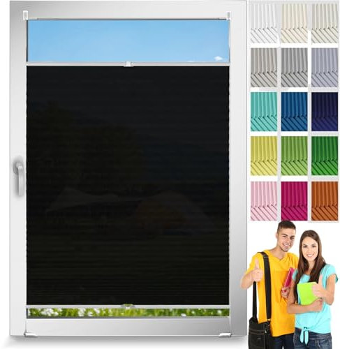 Verdunklungsrollos 24x205cm für Fenster & Tür Tag/Nacht lichtdurchlässig und verdunkelt Plisseerollo