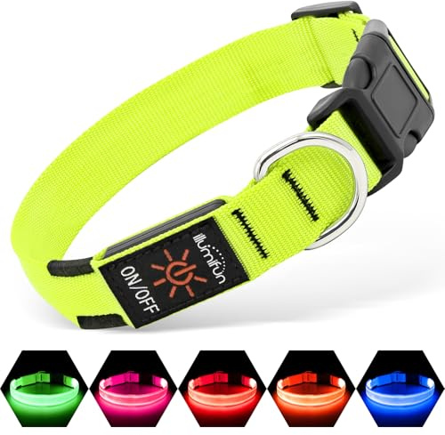 Illumifun LED Leuchthalsband für Hunde - USB-wiederaufladbar Leuchthalsband Hund, Wasserdicht & Größenverstellbar für kleine Hunde (Grün, S)