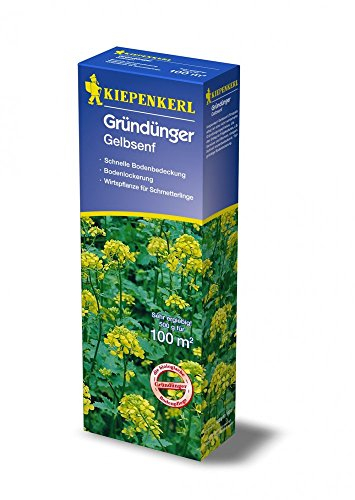 Kiepenkerl, Gründünger Gelbsenf 0,5 Kg