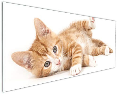 Wallario Küchenrückwand aus Glas 125 x 50 cm, Motiv: Süße Katze mit großen Augen - rot weiß getigert | Spritzschutz abwischbar & pflegeleicht