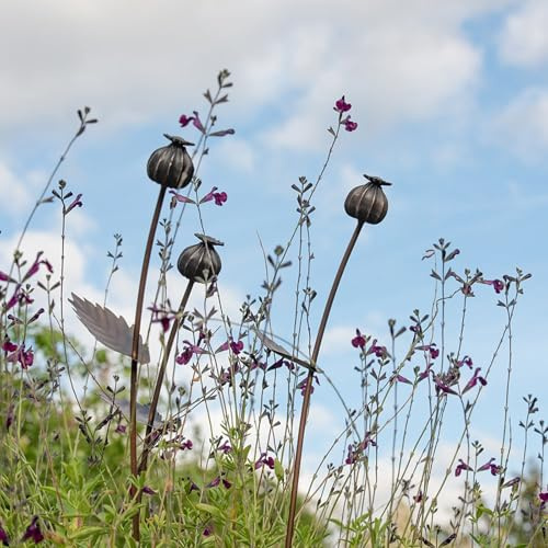 Crocus Collection 80cm Stake Marker Small Poppy Seed Head Bulb Marker and Decorative Garden Antique Pewter