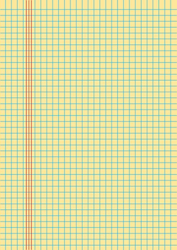 Legal Pad DIN A4 10 Stück kariert