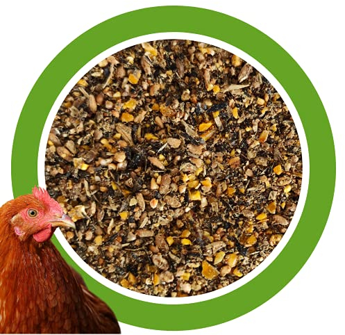 25 kg Premium Hühnerfutter und Kükenfutter, Legemehl Plus mit Oregano - Geflügelfutter für Hühner, Gänse, Enten
