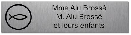 Targhetta incisa per nome e numero cassetta delle lettere Evangelista autoadesiva, 10 x 2,5 cm, personalizzata da 1 a 3 righe in alluminio spazzolato