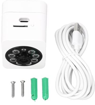 Pilipane Indoor Security Camera Wireless 1080P HD Motion Detection Alert Push Voice Intercom Night Vision WiFi Home Security Camera for Baby Pet Elderly ABS