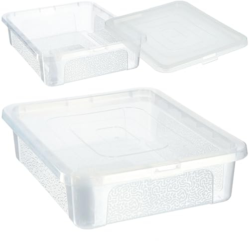 KADAX Rectangular Storage Box with Lid, Storage Container, Stacking Container, Plastic Box, Space-Saving Storage Box (10 L, Transparent)