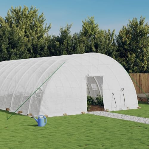 ZEYUAN Invernadero con Estructura de Acero Blanco 72 m² 12x6x2,85 m, Invernaderos Huerto, Invernaderos Jardin, Invernaderos Terraza, Huerto Urbano, Grande portátil jardinería plantación - 3188120
