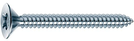 Mustad – 200 Schrauben Hat Kabelrinnen, Senkkopf, PH3, D. 5,5 x 50 mm, verzinktem weiße