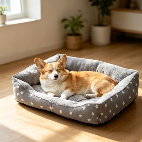 PETCUTE Haustierbett Hundesofa,Waschmaschinenfest Orthopädisches Hundebett für Kleine Hunde,Rutschfestes Boden,Hundebetten Hundekörbchen Katzenbett für Kleine Mittlere und Grosse Hunde