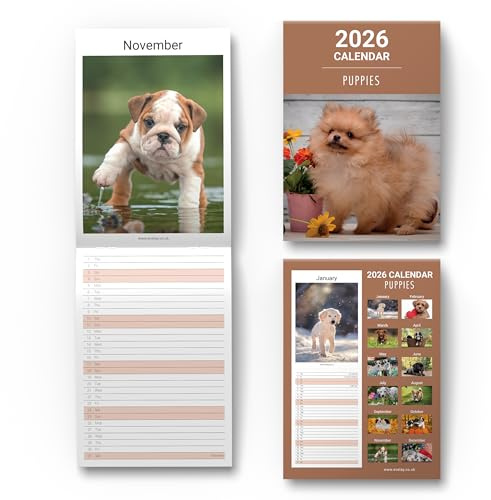 Familienkalender 2023, schmaler Wandkalender, Monatsansicht, Familien-Monatsplaner, Organizer 2023, Kalender für Home Office mit ästhetischem Design und britischen Feiertagen