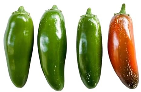 Semillas Pimiento Jalapeño | 2500-5000 Unidades Escala Scoville | Cultivo muy Fácil