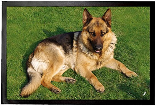 1art1 Hunde Deutscher Schäferhund Auf Der Wiese Fußmatte Dekomatte Innenbereich | Design Türmatte 60x40 cm