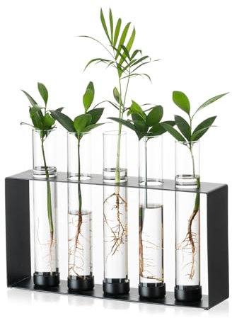 Sziqiqi Plants Propagation Station - Glass Terrarium Vase with 5 Test Tubes for Hydroponics Plants Cuttings Modern Metal Vase for Flowers Black Desktop Vases for Home Office Decor