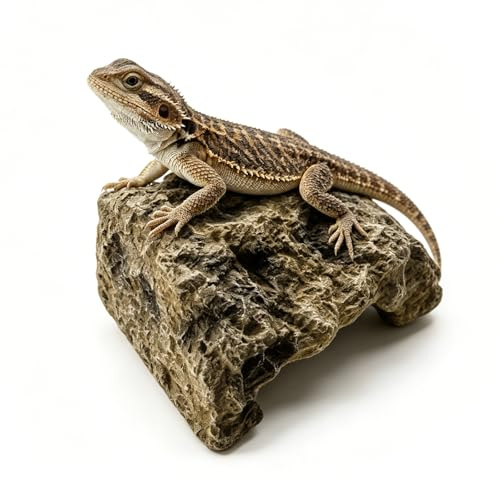 VIDSTW Escondite De Reptiles Resina Cueva De Resina 12,5 × 9 × 7 cm | Cueva Acuario Diseño Con Aspecto De Roca Decoracion Acuario Aquarium Cave Base Resistente para Reptiles Y Anfibios