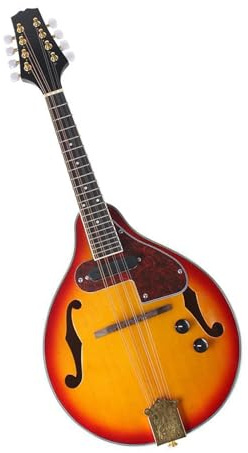 Mandolin Musical Instrument Mandolin Sunset Spruce