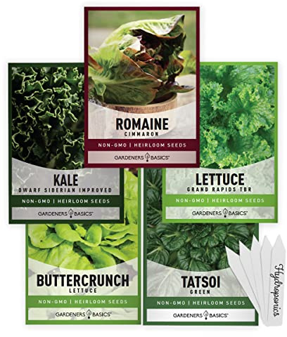 Gardeners Basics, Hydroponic Seeds for Planting Planting Indoors and Outdoor 5 Variety Pack - Tatsoi, Kale, Buttercrunch, Romaine and Loose Leaf Lettuce Seeds