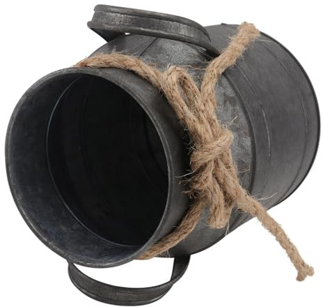 MAGICLULU 1 Stk Verzinkter Eimer Esstischdekoration Verzinkte Vase Kannenvase Sukkulenten Heimzubehör Retro Iron Bucket Kleiner Stand Mini-blumentopf Dekorativ Weiße Vase Pflanze Kaktus