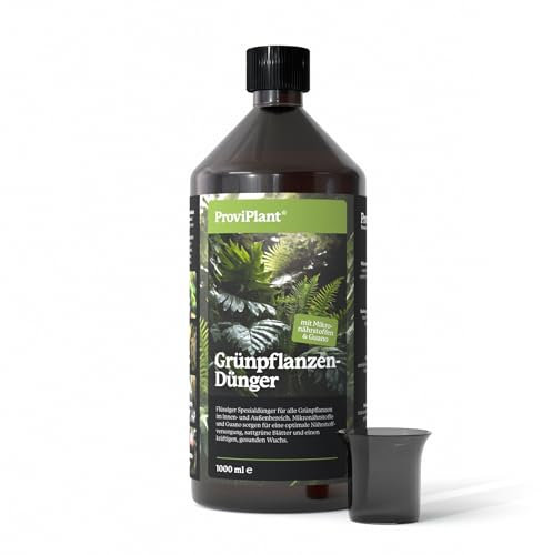 ProviPlant Fertilizzante liquido per piante verdi – per Monstera, ficus e piante da appartamento – 1 litro di concentrato per fino a 200 litri di acqua – Made in Germany