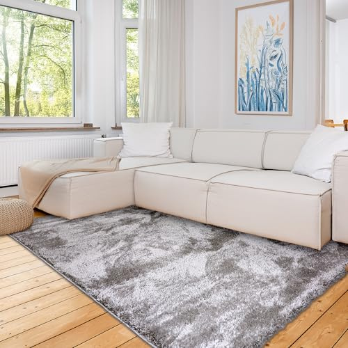 Astra Hochwertiger Teppich Wohnzimmer, Schlafzimmer - Kuscheliger Hochflorteppich weich - Sehr weicher Bodenbelag für Innen - Teppich Silber, 160 x 230 cm