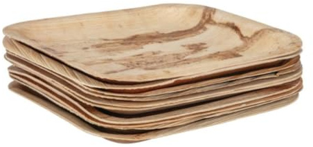 SANYGIENE Assiettes Creuses 17 cm en Feuille de Palmier - Lot de 50 | Biodégradables & Compostables | Vaisselle Jetable Écologique pour Fêtes, Mariages, Anniversaires | Sans Plastique
