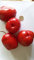 SEMI PEPERONCINO ROCOTO RED+GUIDA ALLA COLTIVAZIONE