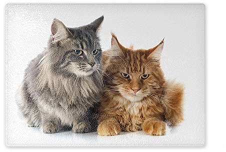 Schneidebrett/Glasschneidebrett 30x39x0,4cm- Motiv: Maine Coone Katze zwei Tiere | 02