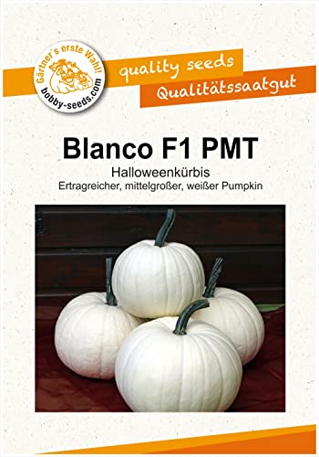 Kürbissamen Blanco F1 Portion