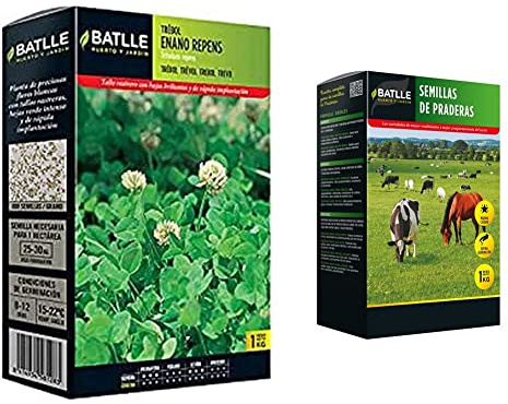 Trebol Blanco (repens Enano) & Semillas de Praderas - 1kg