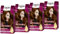 Palette Intensiv Creme Coloration 6-70 Copper Mahogany (4 x 115 ml), permanente Haarfarbe für leuchtende, langanhaltende Farbbrillanz & 100% Grauabdeckung
