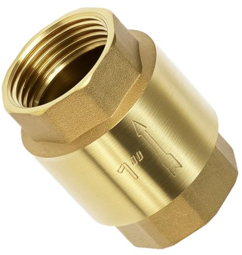 QWORK® Rückschlagventil aus Messing - 1 Zoll Innengewinde (DN 25)