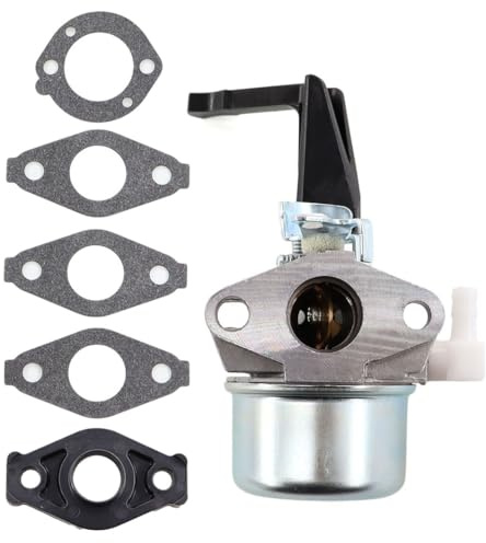 MCHNIC Carburateur avec kit de joint pour Briggs & Stratton 696065 697422 110412 110402 215369 moteur