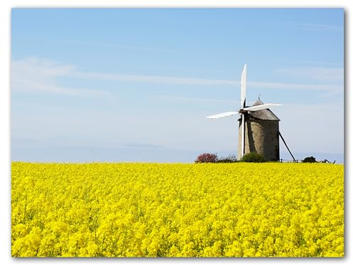 Glücksvilla - Mulino a vento nel campo di colza – diverse misure (immagine in vetro acrilico 5 mm, 100 x 80 cm) in Germania – Stampa artistica XXL decorativa orizzontale – girandola a vento naturale