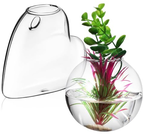 CIYODO Jarrón de Pared de Vidrio Borosilicato para Plantas Hidropónicas y Esquejes, Macetero Colgante Interior Transparente 10 Cm Estación de Propagación para Decoración de Terrarios