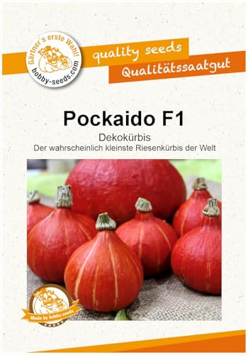 Kürbissamen Pockaido F1 Portion