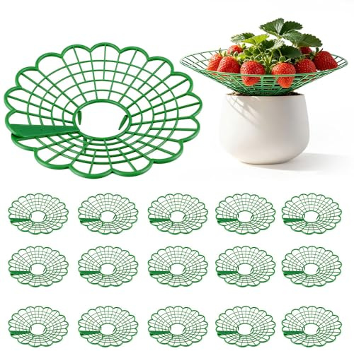 15 Stück Erdbeerstützen Ständer, Erdbeeren Schutz, Abnehmbares Pflanzenregal für Erdbeeren Pflanzen, Erdbeer Schutz Kann Schneckensicher und Korrosionsbeständig, Schafft Sicherheitsabstand zum Boden